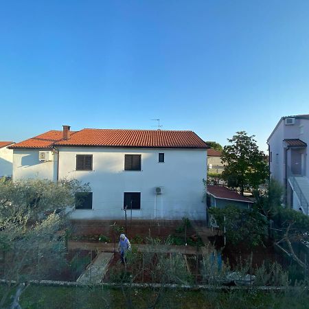 Apartman Milka Novigrad Istria 外观 照片